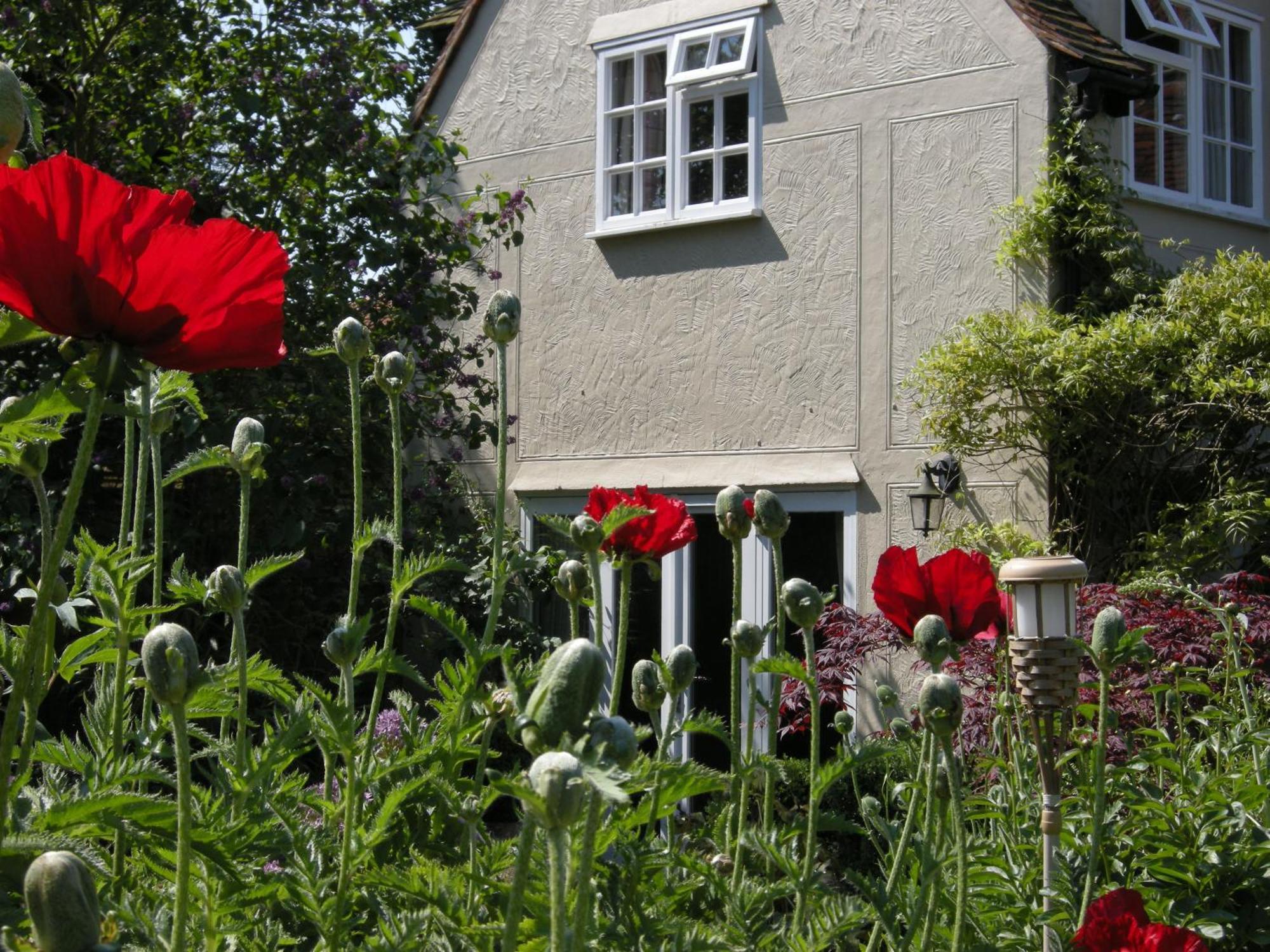 Motts Bed & Breakfast Great Dunmow Dış mekan fotoğraf