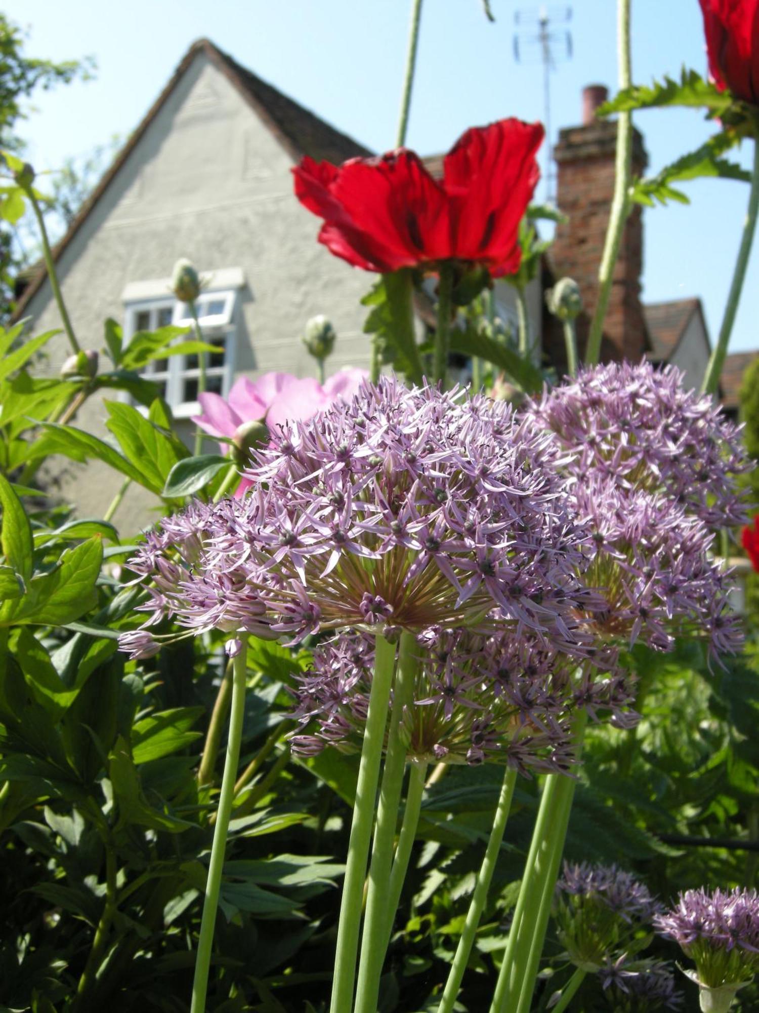 Motts Bed & Breakfast Great Dunmow Dış mekan fotoğraf