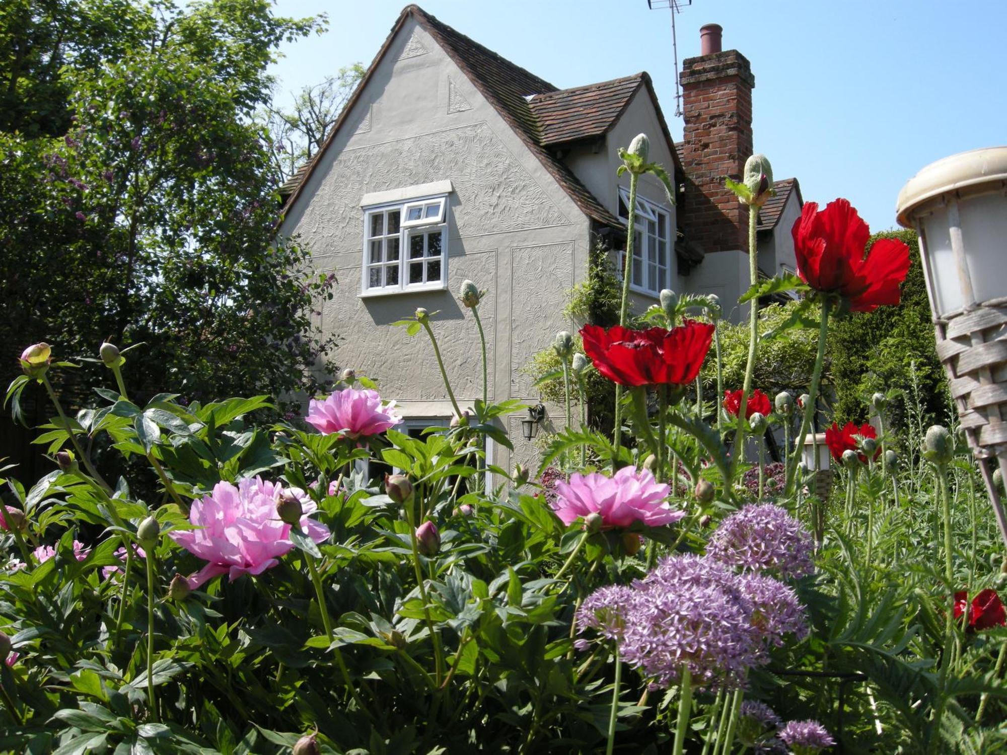 Motts Bed & Breakfast Great Dunmow Dış mekan fotoğraf