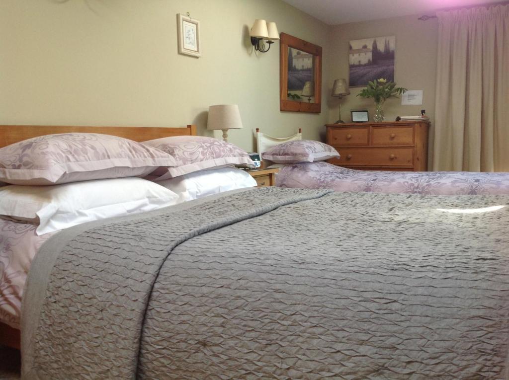 Motts Bed & Breakfast Great Dunmow Dış mekan fotoğraf